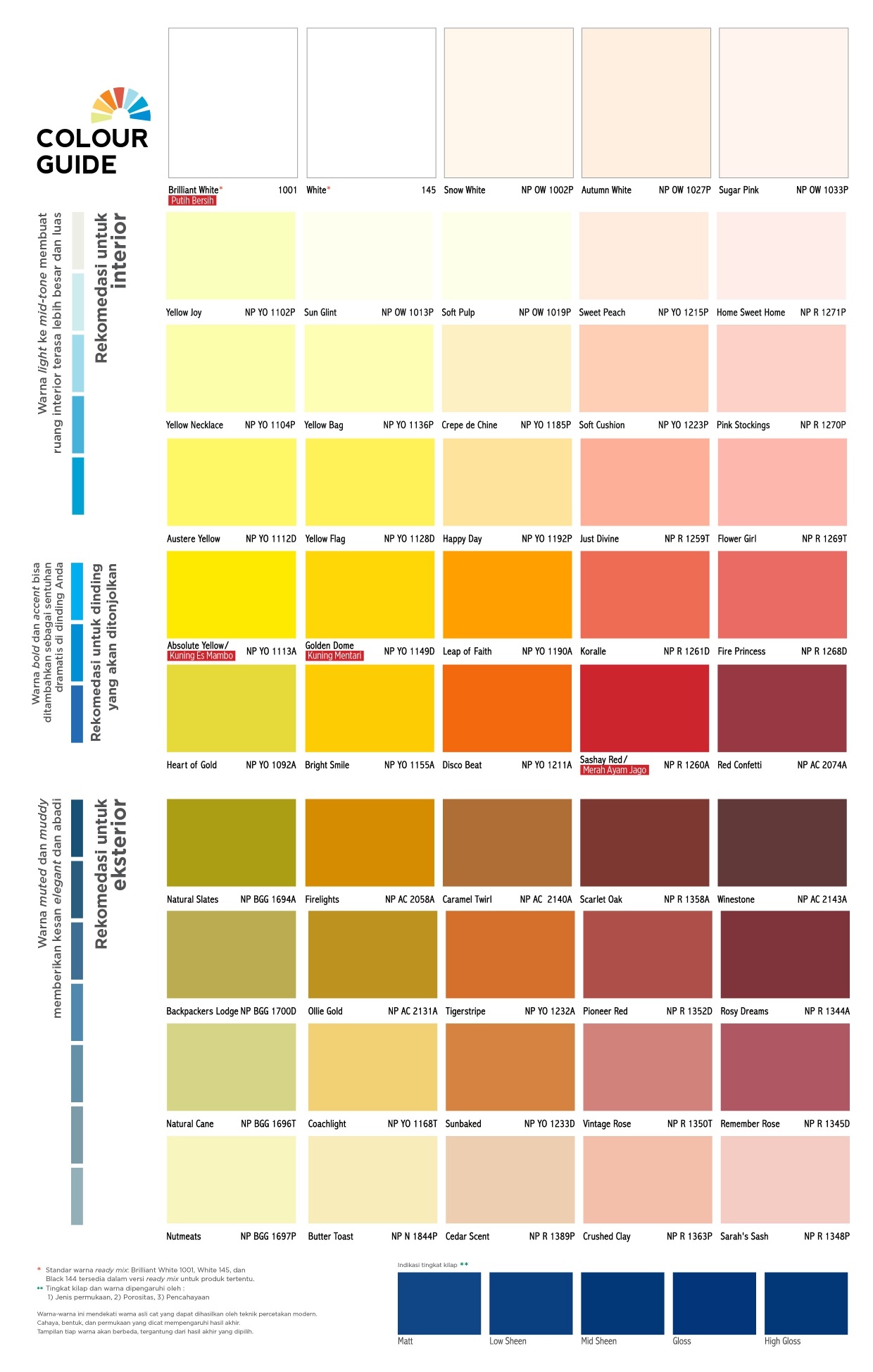 CCColourOfLifeNew_page-0004 - Copy (2)